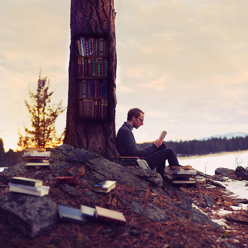 heartlesshippie:  urhajos:  F is for Finding Fiction in the Forest  Yes Please 