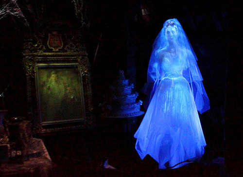 attic-bride:  stephanie-is-pretty:  welcome to my house =3  Tomb sweet tomb! 