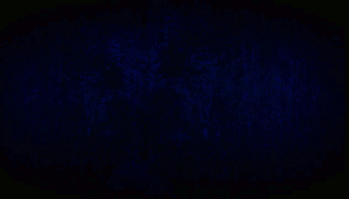 v i i