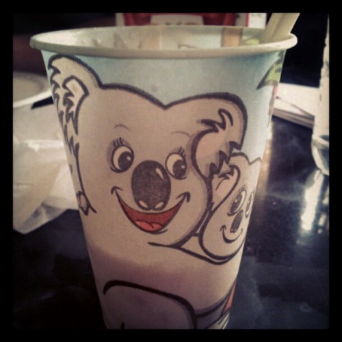 Animal cups for Che Thai  (Taken with instagram)