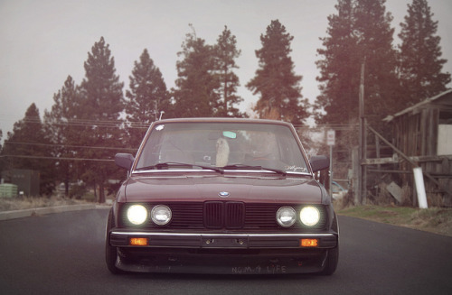 atill:  skylarisdumb by ericalexanderwillis on Flickr. 
