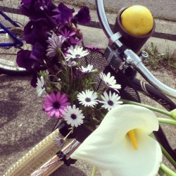 retrded:  Went picking #flowers on my #bike (Taken with instagram) 