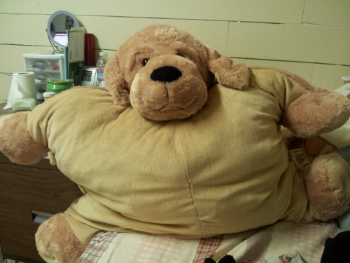 Super sized “pillow pet”
