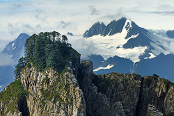 bluepueblo:  Mountain Top Forest, Alaska