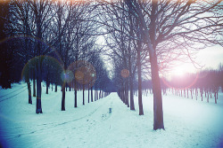 Sweet Escape