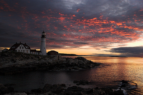 splendors-of-the-universe:  Do you think Nature is beautiful? Click Here! 