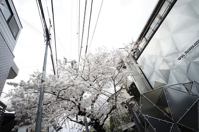ileftmyheartintokyo:  Snap_0026 by m-net on Flickr.