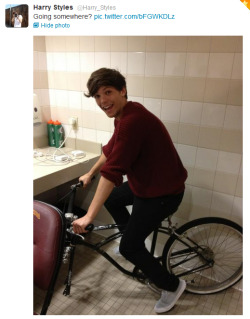 allons-bloody-y:  Oh Louis, y u so silly? :) ♥ 