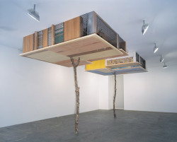 installationarts:   Simon Starling  Inverted Retrograde Theme 2002 Wood, iron, mahogany &amp; birds. 