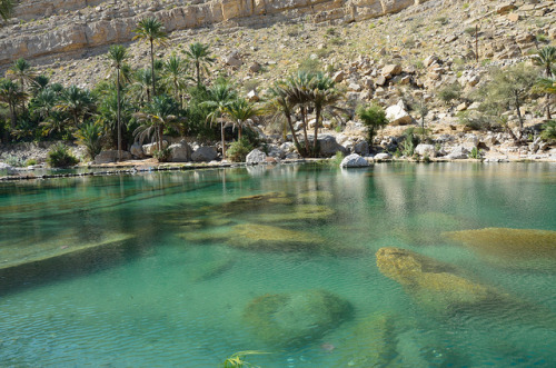 Beautiful waters of Wadi Bani Khalid oasis, Oman (by kewl).