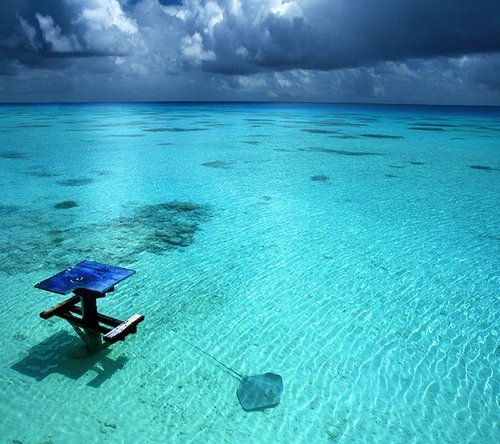 the-ocean-paradise:  pure ocean