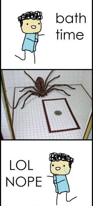 Holy fuck that&rsquo;s a huge Spider!!!!
