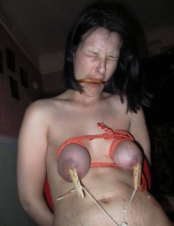 breastbondage.tumblr.com post 26454833172