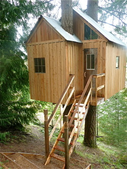 cabinporn:Treehouse in Helvetia, Oregon