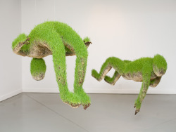 whorpses:  Life of Grass by Mathilde Roussel