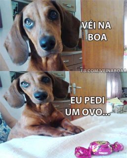 revelacoesdeumameninasonhadora.tumblr.com/post/20811332125/