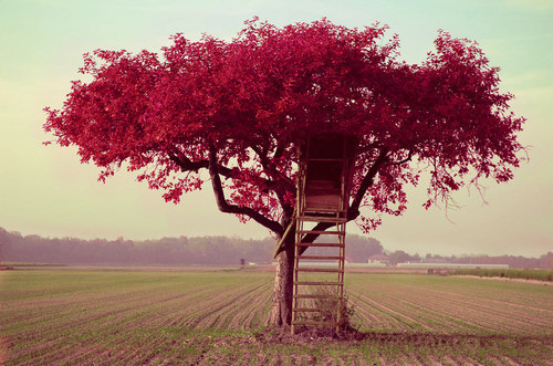 RE-INVENTING THE SOUL