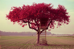 Re-Inventing The Soul