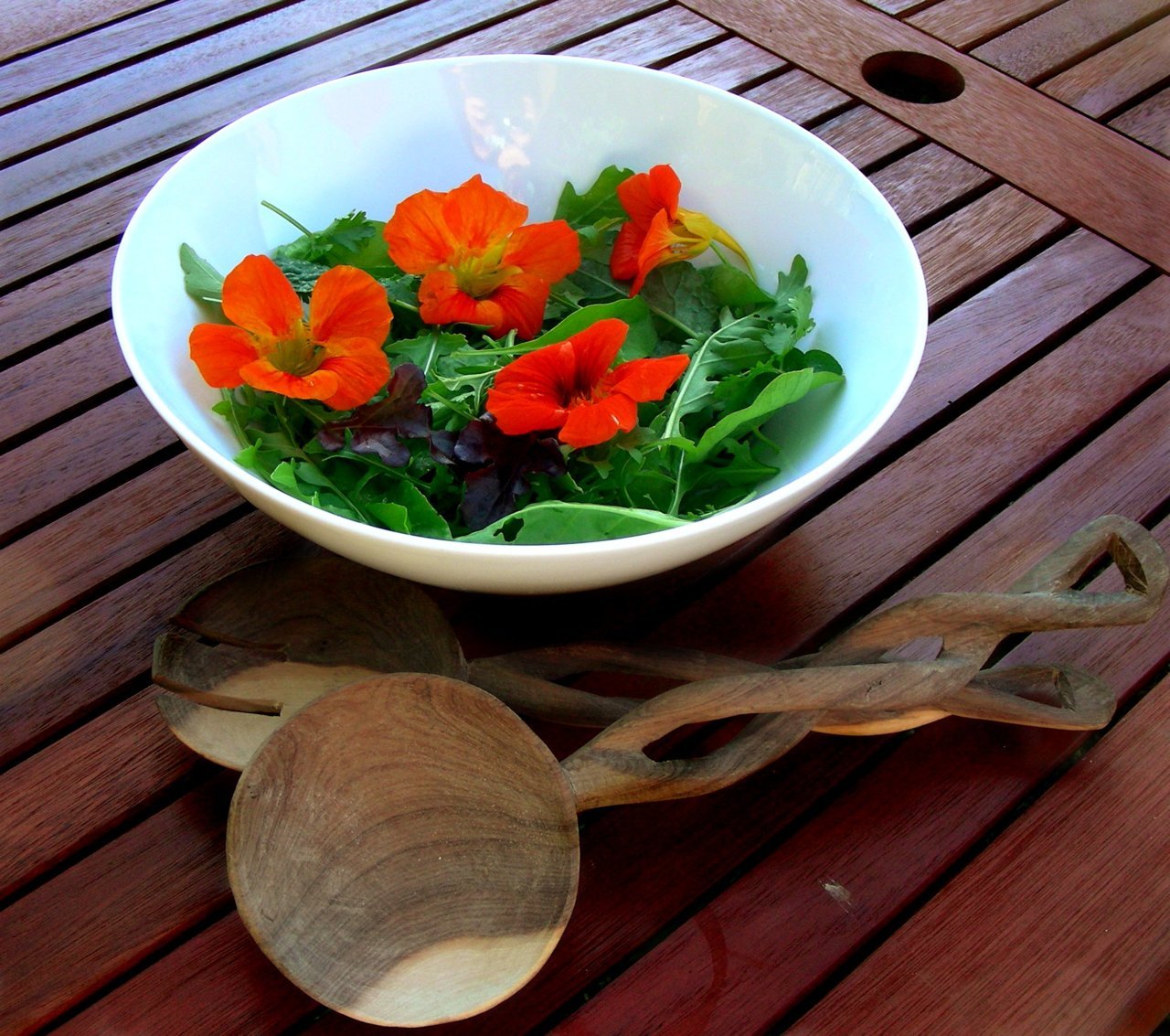 nyankaty:
“ Nasturtium salad! My nasturtium is growing fantastically; no blossoms or buds yet but the leaves have exploded into new growth and they’re already threatening to take over their planter.
”
Seeing as we just did a little piece on the...