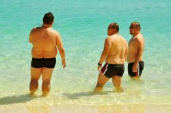 speedochubby:  Three little bears 
