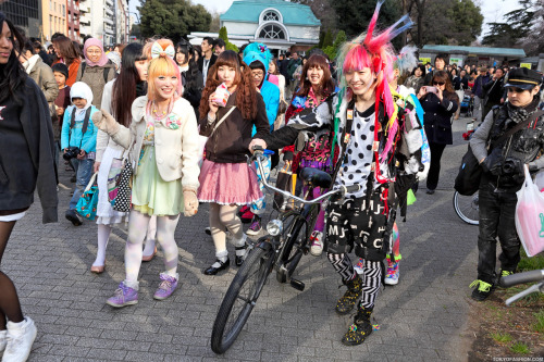 Harajuku Fashion Walk hanami party! Please check out our new short movie, “Walk With Us, The S