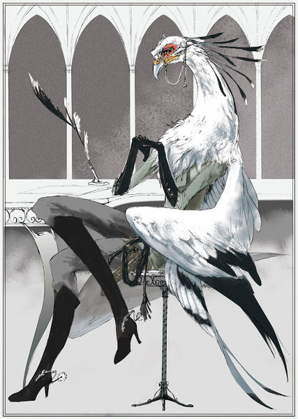 fyeahsecretarybirds:  Whao. Those are quite some legs.  This is pretty cool but whoa, there’s an fyeah secretary birds?? That’s badass. Is there an Fyeah Shoebills??? I can’t find one. I AM REMEDYING THIS SITUATION NOW