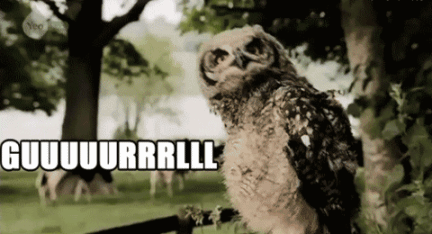 the-absolute-best-gifs:  Follow this blog, you will love it on your dashboard 
