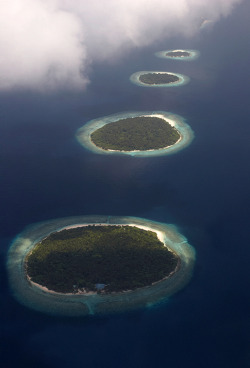 my-word-is-my-bond:  Maldives 