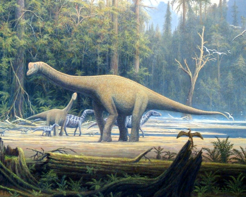 Europasaurus Reconstruction by Gerhard Boeggemann When: Jurassic (~ 156 - 151 million years ago) Whe