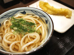 alicewhyy:  Udon