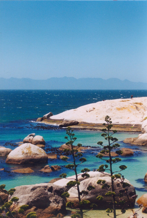 Cape of Good Hope, Cape Town, South Africa