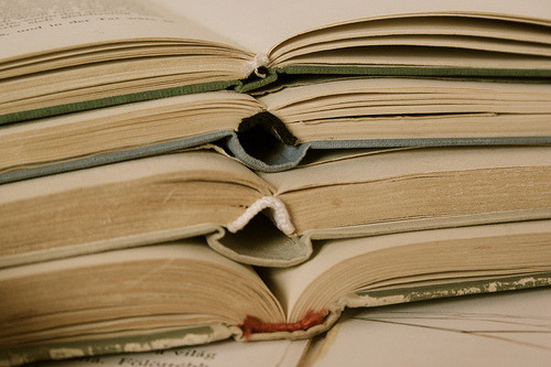 Books Are A Girl’s Best Friend (by Krisztina Kollar)