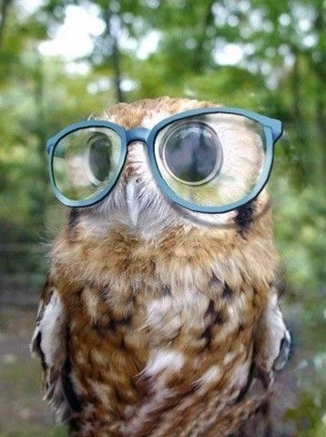 Hipster, aye? Well I don’t give a hoot.