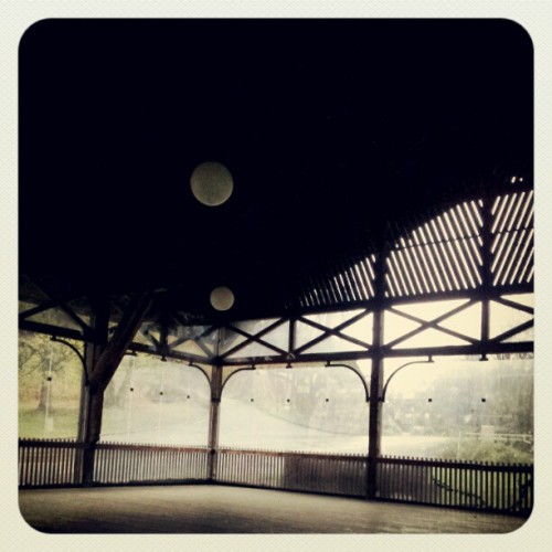 Coucou  (Pris avec instagram)