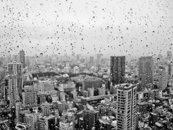 ethertune:  Rain on Glass- Tokyo Tower (By eamonida)