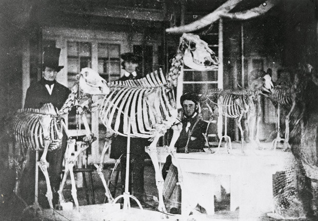 explore-blog:
“ Edgar Allan Poe (right) appears in the oldest-known photograph taken inside an American museum, the Academy of Natural Sciences in Philadelphia, itself the oldest natural science museum in the Western Hemisphere.
”