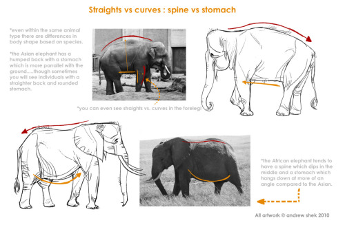 matuska:  wannabeanimator:  lizwuzthere:  pixiepunch:  oooo very very interesting.  rrrrrrrrrrrrRRRRRREFERENCE  This is one of the best design lessons you can ever learn. Straights vs. curves.  gfghhff those illustrationsss hffff 