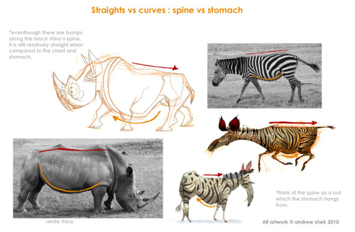 matuska:  wannabeanimator:  lizwuzthere:  pixiepunch:  oooo very very interesting.  rrrrrrrrrrrrRRRRRREFERENCE  This is one of the best design lessons you can ever learn. Straights vs. curves.  gfghhff those illustrationsss hffff 