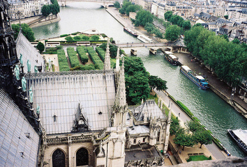 13neighbors:7 Paris (11) Notre Dame by pjink11 on Flickr.