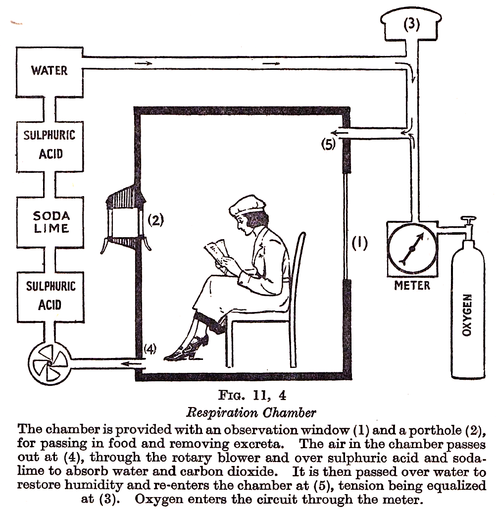 crystilogic:  Physiology &amp; people in boxes × 2, from Textbook of Physiology