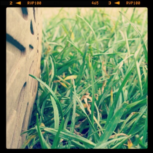 Taken with instagram