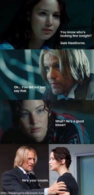 meangirlsofpanem:  Okay, this one is by (very) popular demand so don’t bitch at me if you haven’t read Catching Fire    meangirlsofpanem is a GENIUS