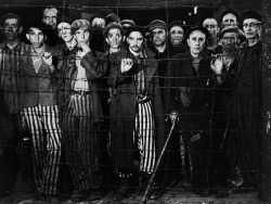 life:  Of the indispensable photographs taken during the Second World War, Margaret Bourke-White’s image of survivors at Buchenwald in April 1945 — “staring out at their Allied rescuers,” as LIFE magazine put it, “like so many living corpses”