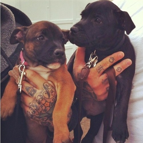 Hella Mobbin