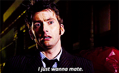 doctorwho:  “You’re not mating with me, Sunshine!” Part of a series on deciding to fly away with The Doctor