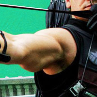 ladynorthstar:  ~ Jeremy Renner’s arms : weapon of mass distraction  