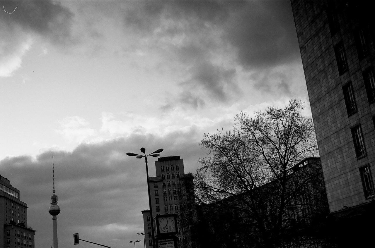 roybusch-photography:  Analogue Series Taken With Canon EOS 50e and Ilford Delta