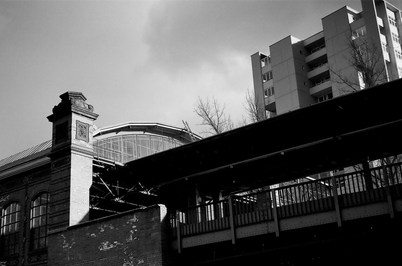 roybusch-photography:  Analogue Series Taken With Canon EOS 50e and Ilford Delta