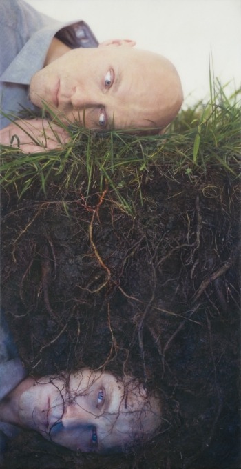 beanfield:  ROBERT and SHANA PARKEHARRISON Bloodroot 