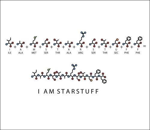blamoscience: jtotheizzoe: the-star-stuff: I AM STARSTUFF necklace :)  (Submitted by megan
